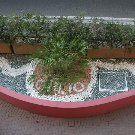 Oblio 2*